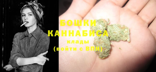 наркотики Бородино