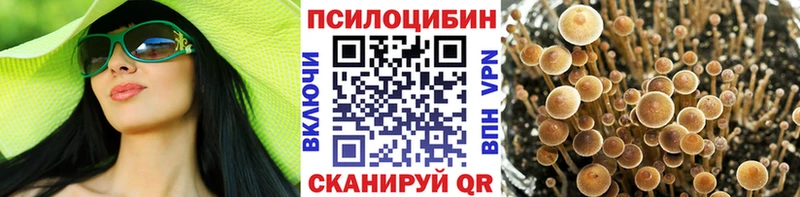 Купить  Маркс  Галлюциногенные грибы MAGIC MUSHROOMS 